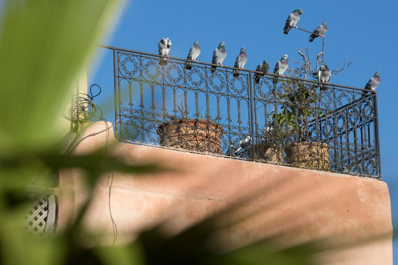Riad El Maktoub Marakeş Dış mekan fotoğraf